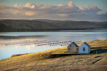 Muckle Roe Chapel - Image